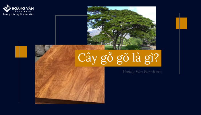 cây gỗ gõ