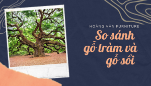 so sánh gỗ tràm và gỗ sồi