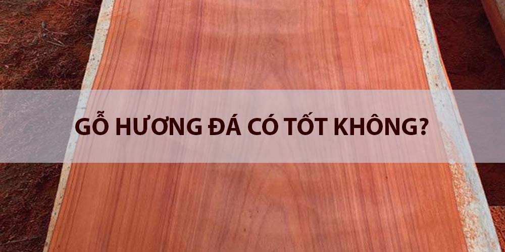 gỗ hương đá có tốt không