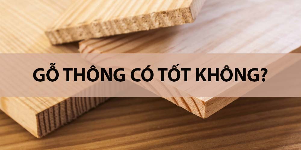 gỗ thông có tốt không