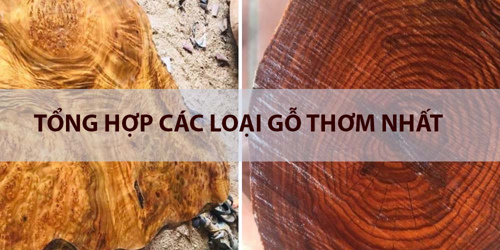 các loại gỗ thơm nhất