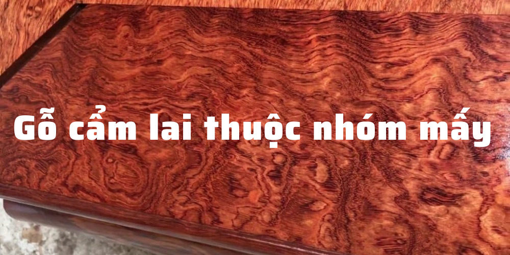 Gỗ cẩm lai thuộc nhóm mấy