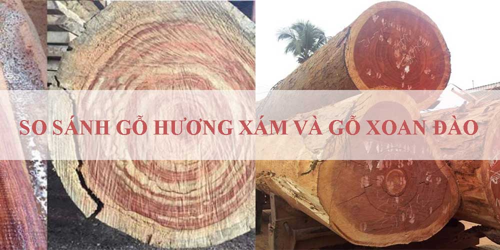 so sánh gỗ hương xám và gỗ xoan đào