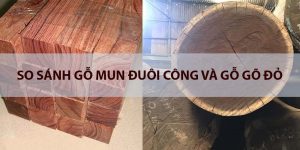 so sánh gỗ mun đuôi công và gỗ gõ đỏ