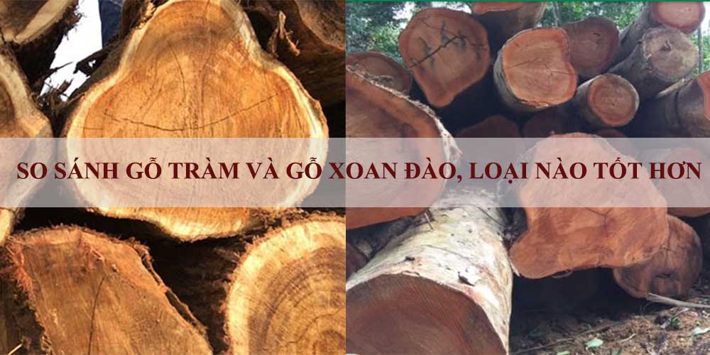 so sánh gỗ tràm và gỗ xoan đào