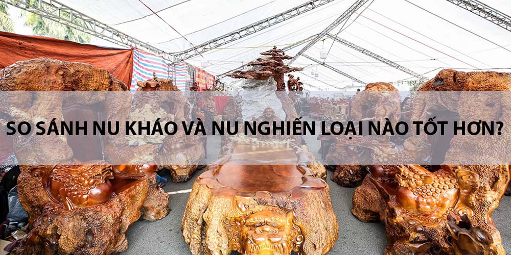 so sánh nu kháo và nu nghiến